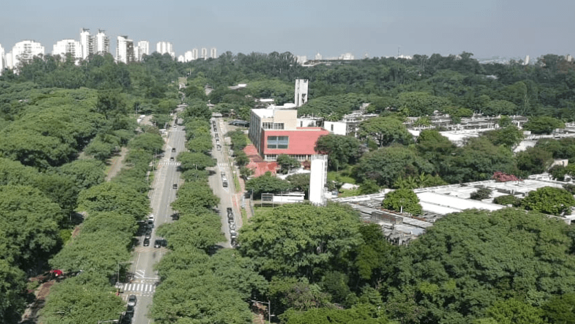 Conheça as principais praças e áreas verdes da região do Butantã