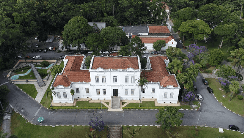 Instituto Butantan