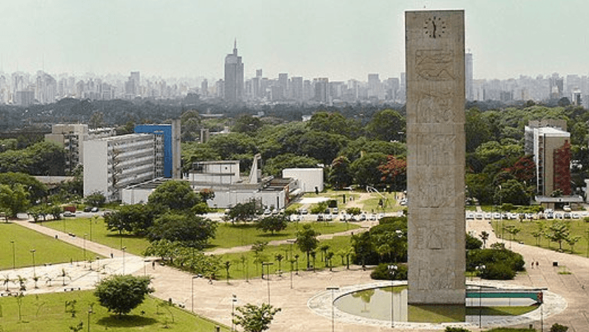 Museus e bibliotecas para conhecer na Cidade Universitária da USP