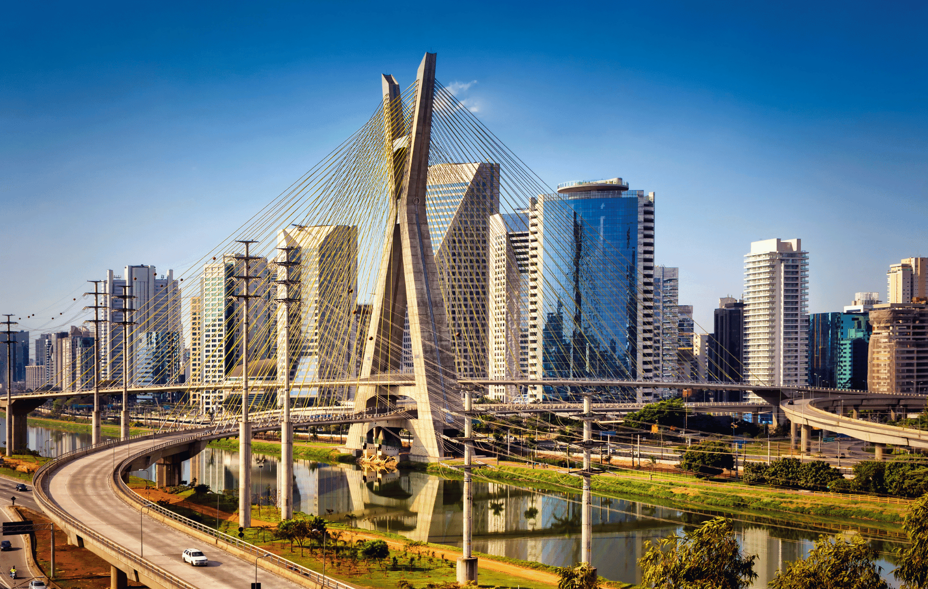 9 de Julho: por que essa data também é história viva no Butantã