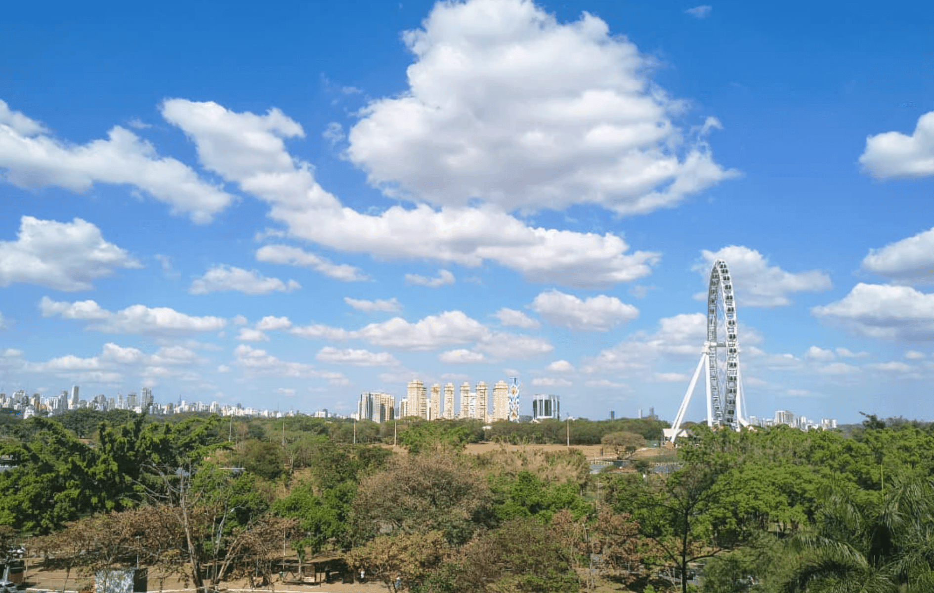 Confira a programação completa dos parques Villa-Lobos e Cândido Portinari: eventos, atrações fixas, horários e como chegar do Butantã.